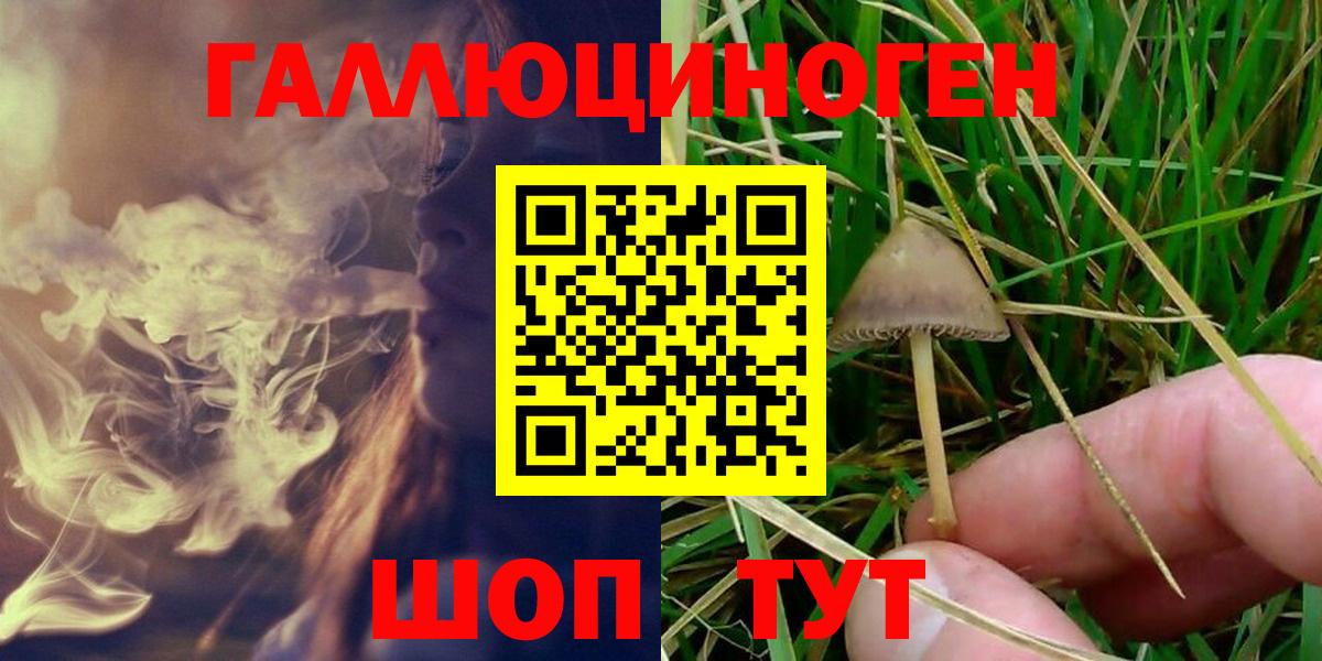 Кизляр  Галлюциногенные грибы MAGIC MUSHROOMS  Вход с VPN  Псилоцибиновые грибы Cubensis 